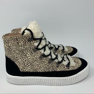 Aqua High Top Sneakers